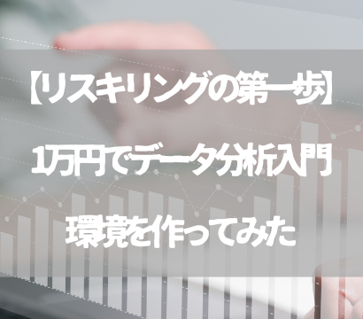 【リスキリングの第一歩として必見】1万円でデータ分析入門環境を作ってみた