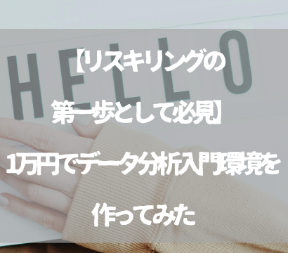 【リスキリングの第一歩として必見】1万円でデータ分析入門環境を作ってみた